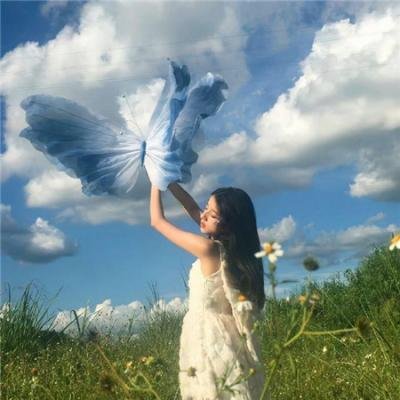 政治之爱封面