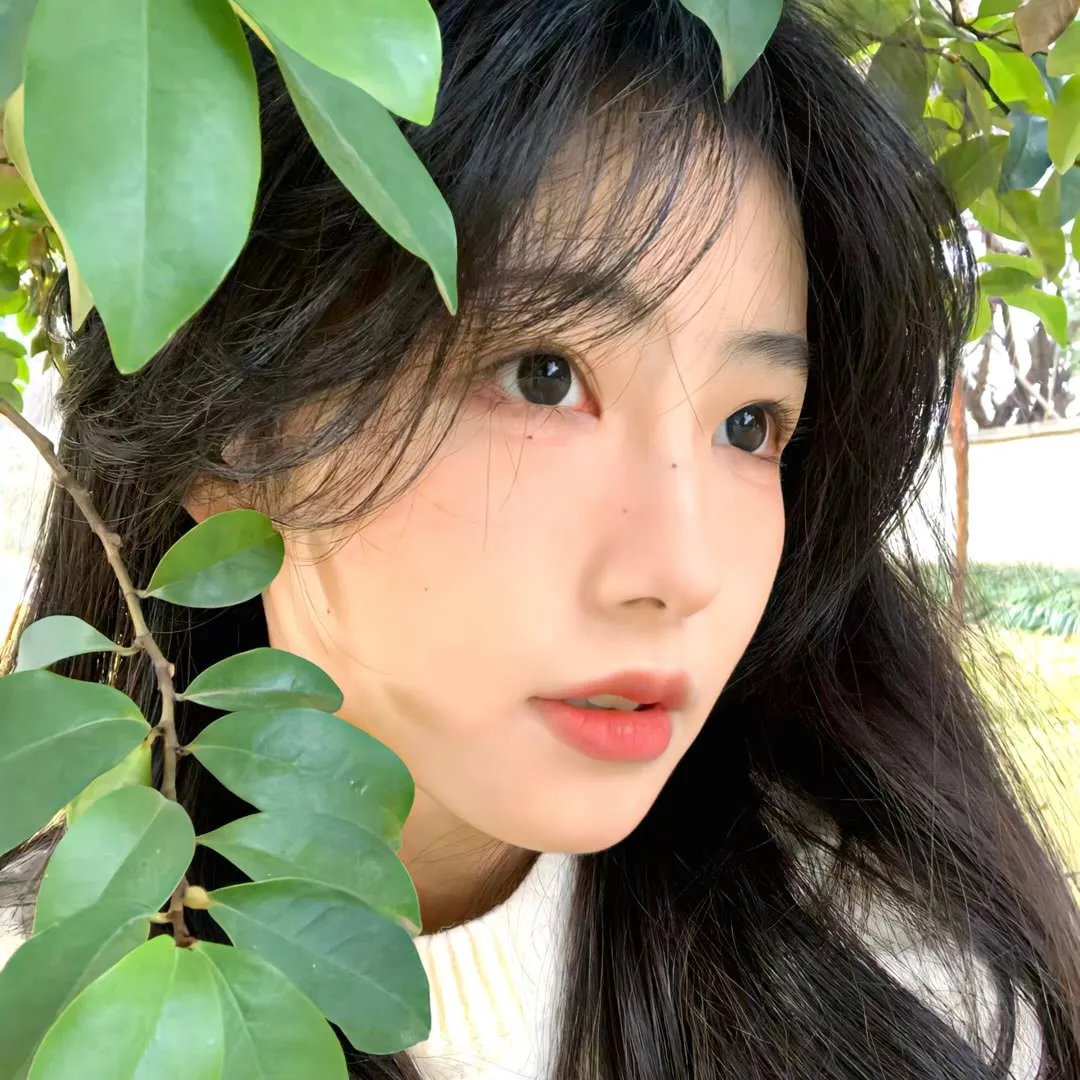 心慌方封面